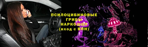 мдпв Мегион