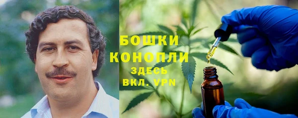 мдпв Мегион