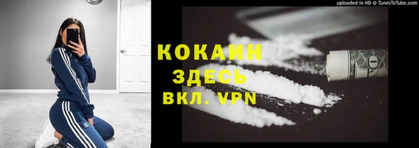 мдпв Мегион