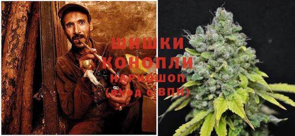 дурь Майский