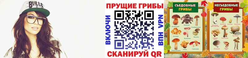 Псилоцибиновые грибы MAGIC MUSHROOMS Купить где Лесосибирск